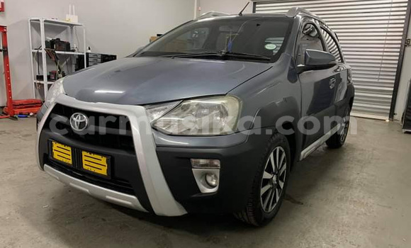 Tenga Tsaru Toyota Etios Zvimwe Mota in Beitbridge in Matabeleland South