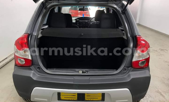 Tenga Tsaru Toyota Etios Zvimwe Mota in Beitbridge in Matabeleland South Tenga Tsaru Toyota Etios Zvimwe Mota in Beitbridge in Matabeleland South