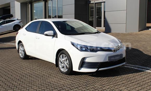 Acheter Occasion Voiture Toyota Corolla Blanc à Beitbridge, Matabeleland South Acheter Occasion Voiture Toyota Corolla Blanc à Beitbridge, Matabeleland South