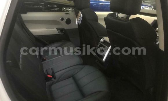 Tenga Tsaru Land Rover Range Rover Sport Chena Mota in Harare in Harare Tenga Tsaru Land Rover Range Rover Sport Chena Mota in Harare in Harare