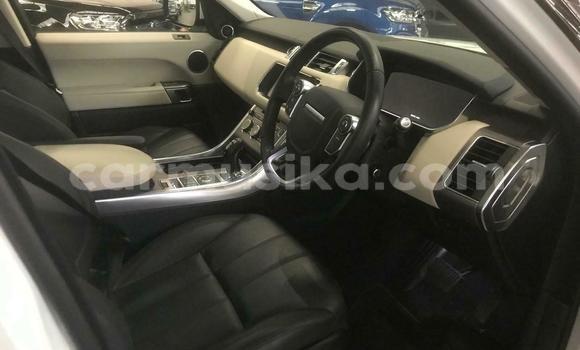 Tenga Tsaru Land Rover Range Rover Sport Chena Mota in Harare in Harare Tenga Tsaru Land Rover Range Rover Sport Chena Mota in Harare in Harare