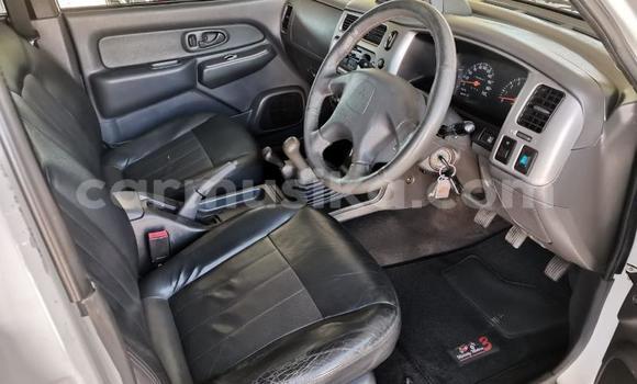 Buy Used Mitsubishi Colt Other Car in Beitbridge in Matabeleland South Buy Used Mitsubishi Colt Other Car in Beitbridge in Matabeleland South