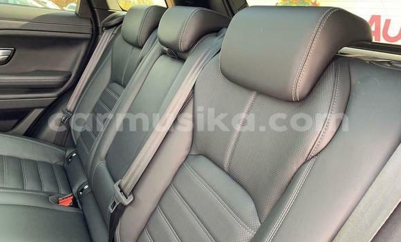 Tenga Tsaru Land Rover Range Rover Evoque Chena Mota in Harare in Harare Tenga Tsaru Land Rover Range Rover Evoque Chena Mota in Harare in Harare