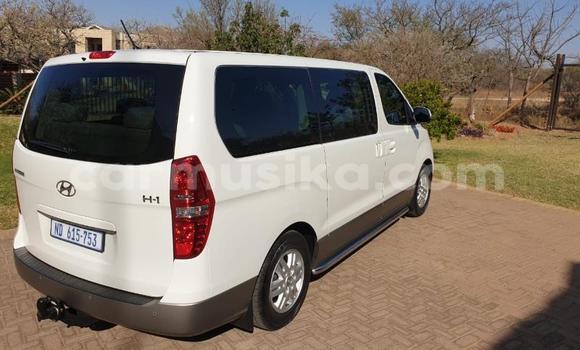 Acheter Occasion Voiture Hyundai H1 Blanc à Beitbridge, Matabeleland South Acheter Occasion Voiture Hyundai H1 Blanc à Beitbridge, Matabeleland South