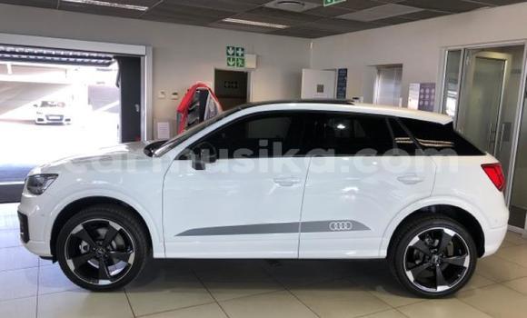 Tenga Tsaru Audi Q2 Chena Mota in Bulawayo in Bulawayo Tenga Tsaru Audi Q2 Chena Mota in Bulawayo in Bulawayo