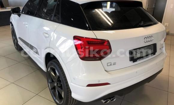 Tenga Tsaru Audi Q2 Chena Mota in Bulawayo in Bulawayo Tenga Tsaru Audi Q2 Chena Mota in Bulawayo in Bulawayo