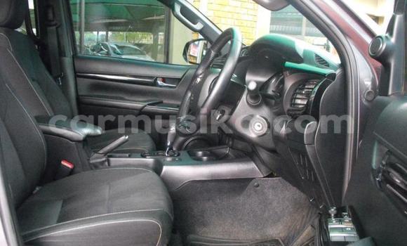 Tenga Tsaru Toyota Hilux Zvimwe Mota in Bulawayo in Bulawayo Tenga Tsaru Toyota Hilux Zvimwe Mota in Bulawayo in Bulawayo