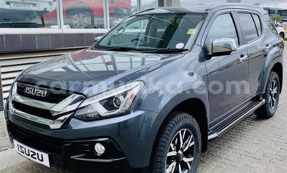 Tenga Tsaru Isuzu MU-X Bhuruu Mota in Beitbridge in Matabeleland South