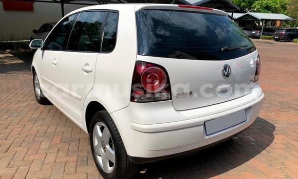 Nunua Ilio tumika Volkswagen Polo Nyeupe Gari ndani ya Beitbridge nchini Matabeleland Kusini Nunua Ilio tumika Volkswagen Polo Nyeupe Gari ndani ya Beitbridge nchini Matabeleland Kusini