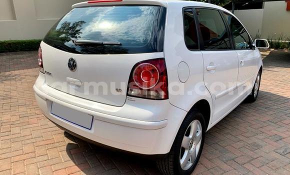 Nunua Ilio tumika Volkswagen Polo Nyeupe Gari ndani ya Beitbridge nchini Matabeleland Kusini Nunua Ilio tumika Volkswagen Polo Nyeupe Gari ndani ya Beitbridge nchini Matabeleland Kusini
