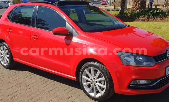 Buy Used Volkswagen Polo Red Car in Beitbridge in Matabeleland South