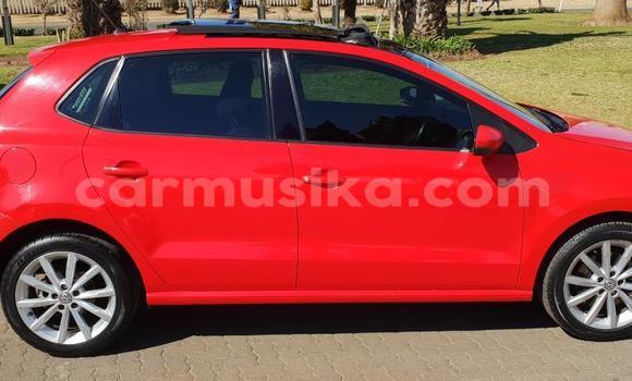 Tenga Tsaru Volkswagen Polo Tsvuku Mota in Beitbridge in Matabeleland South Tenga Tsaru Volkswagen Polo Tsvuku Mota in Beitbridge in Matabeleland South