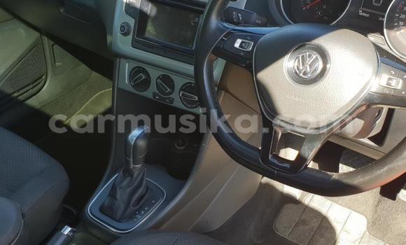 Tenga Tsaru Volkswagen Polo Tsvuku Mota in Beitbridge in Matabeleland South Tenga Tsaru Volkswagen Polo Tsvuku Mota in Beitbridge in Matabeleland South