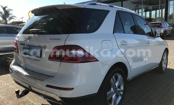 Buy Used Mercedes‒Benz AMG GLC White Car in Beitbridge in Matabeleland South Buy Used Mercedes‒Benz AMG GLC White Car in Beitbridge in Matabeleland South