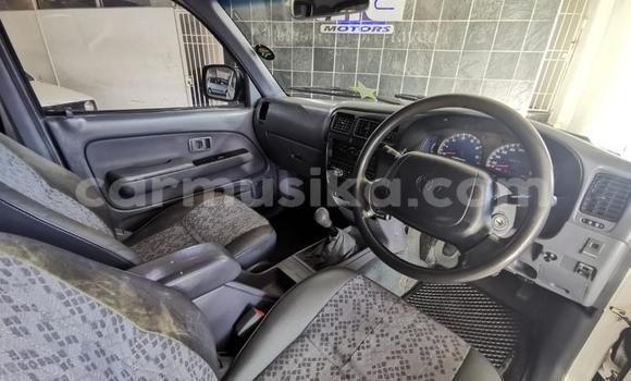 Tenga Tsaru Toyota Hilux Chena Mota in Beitbridge in Matabeleland South Tenga Tsaru Toyota Hilux Chena Mota in Beitbridge in Matabeleland South