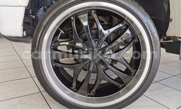 Tenga Tsaru Toyota Hilux Chena Mota in Beitbridge in Matabeleland South Tenga Tsaru Toyota Hilux Chena Mota in Beitbridge in Matabeleland South