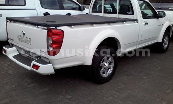 Buy Used Isuzu KB White Car in Beitbridge in Matabeleland South Buy Used Isuzu KB White Car in Beitbridge in Matabeleland South