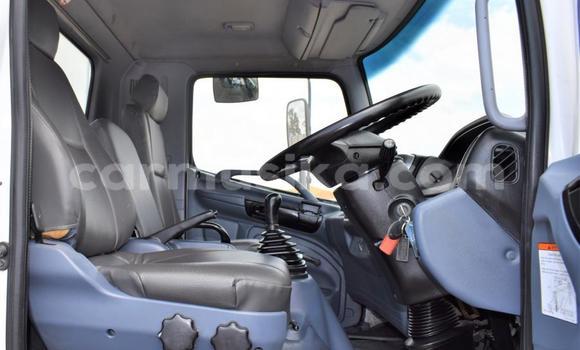 Tenga Tsaru Hino 300 Series Chena Rori in Beitbridge in Matabeleland South Tenga Tsaru Hino 300 Series Chena Rori in Beitbridge in Matabeleland South