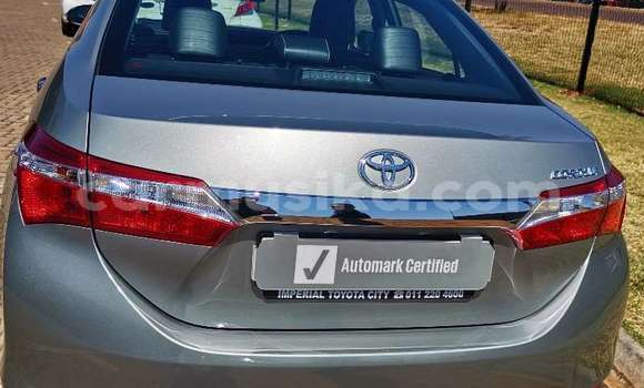 Acheter Occasion Voiture Toyota Corolla II Gris à Beitbridge, Matabeleland South