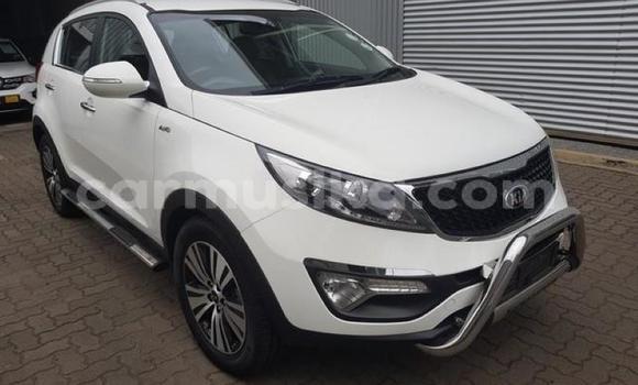 Tenga Tsaru Kia Sportage Chena Mota in Beitbridge in Matabeleland South Tenga Tsaru Kia Sportage Chena Mota in Beitbridge in Matabeleland South