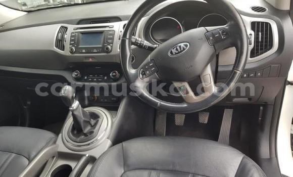 Tenga Tsaru Kia Sportage Chena Mota in Beitbridge in Matabeleland South Tenga Tsaru Kia Sportage Chena Mota in Beitbridge in Matabeleland South