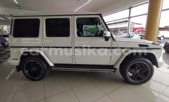 Tenga Tsaru Mercedes‒Benz G-klasse Chena Mota in Beitbridge in Matabeleland South Tenga Tsaru Mercedes‒Benz G-klasse Chena Mota in Beitbridge in Matabeleland South