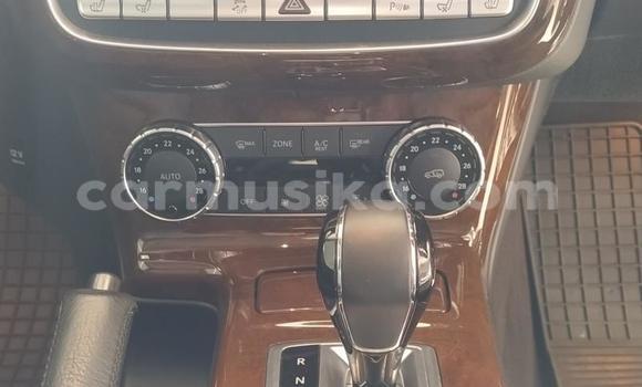 Tenga Tsaru Mercedes‒Benz G-klasse Chena Mota in Beitbridge in Matabeleland South Tenga Tsaru Mercedes‒Benz G-klasse Chena Mota in Beitbridge in Matabeleland South