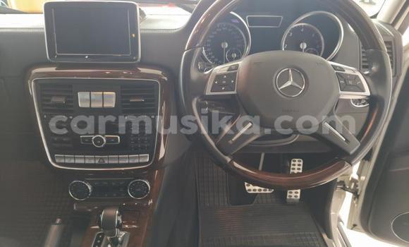 Tenga Tsaru Mercedes‒Benz G-klasse Chena Mota in Beitbridge in Matabeleland South Tenga Tsaru Mercedes‒Benz G-klasse Chena Mota in Beitbridge in Matabeleland South