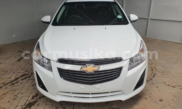 Buy Used Chevrolet Cruze White Car in Beitbridge in Matabeleland South