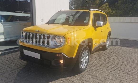 Tenga Tsaru Jeep Renegade Zvimwe Mota in Beitbridge in Matabeleland South Tenga Tsaru Jeep Renegade Zvimwe Mota in Beitbridge in Matabeleland South