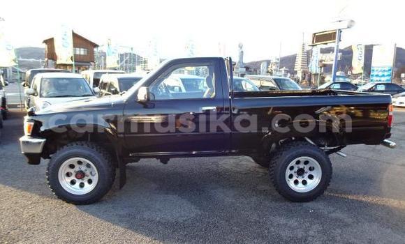 Tenga Tsaru Toyota Hilux Nhema Mota in Beitbridge in Matabeleland South Tenga Tsaru Toyota Hilux Nhema Mota in Beitbridge in Matabeleland South