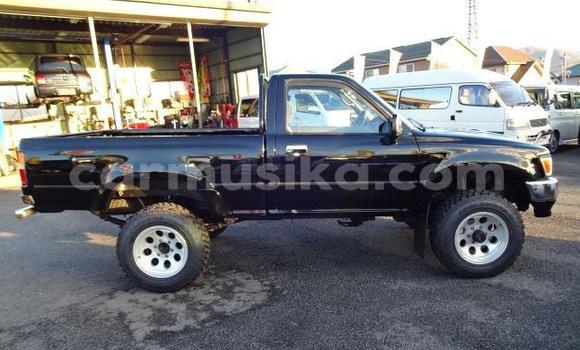 Tenga Tsaru Toyota Hilux Nhema Mota in Beitbridge in Matabeleland South Tenga Tsaru Toyota Hilux Nhema Mota in Beitbridge in Matabeleland South