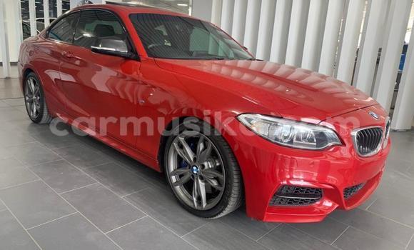Buy Used BMW M2 Red Car in Beitbridge in Matabeleland South Buy Used BMW M2 Red Car in Beitbridge in Matabeleland South