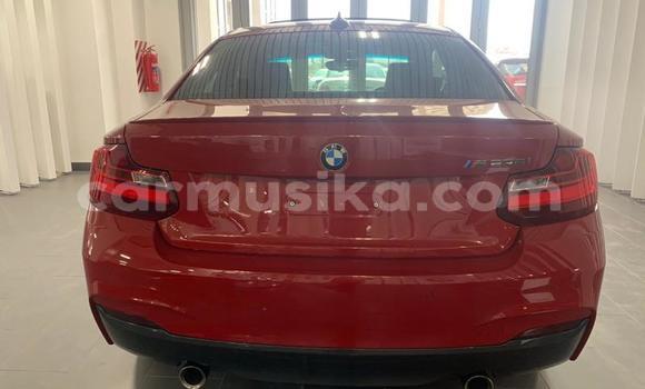 Buy Used BMW M2 Red Car in Beitbridge in Matabeleland South Buy Used BMW M2 Red Car in Beitbridge in Matabeleland South