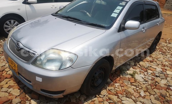 Buy Used Toyota Runx Silver Car in Harare in Harare Buy Used Toyota Runx Silver Car in Harare in Harare