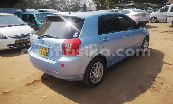 Buy Used Toyota Runx Blue Car in Harare in Harare Buy Used Toyota Runx Blue Car in Harare in Harare