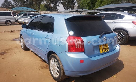 Buy Used Toyota Runx Blue Car in Harare in Harare Buy Used Toyota Runx Blue Car in Harare in Harare