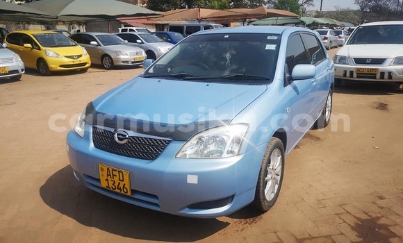 Buy Used Toyota Runx Blue Car in Harare in Harare Buy Used Toyota Runx Blue Car in Harare in Harare