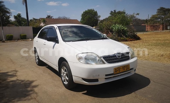 Buy Used Toyota Corolla White Car in Harare in Harare Buy Used Toyota Corolla White Car in Harare in Harare