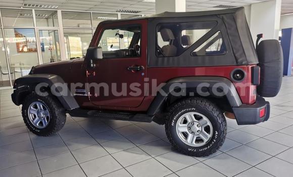 Tenga Tsaru Jeep CJ Bhurawuni Mota in Beitbridge in Matabeleland South Tenga Tsaru Jeep CJ Bhurawuni Mota in Beitbridge in Matabeleland South