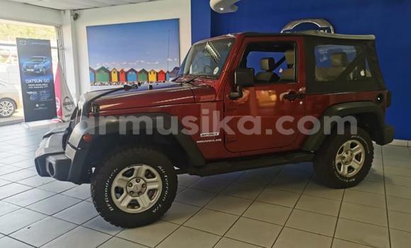 Tenga Tsaru Jeep CJ Bhurawuni Mota in Beitbridge in Matabeleland South Tenga Tsaru Jeep CJ Bhurawuni Mota in Beitbridge in Matabeleland South