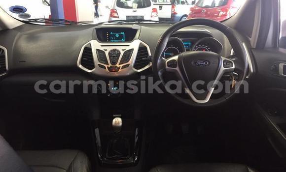 Tenga Tsaru Ford EcoSport Sirivha Mota in Beitbridge in Matabeleland South Tenga Tsaru Ford EcoSport Sirivha Mota in Beitbridge in Matabeleland South