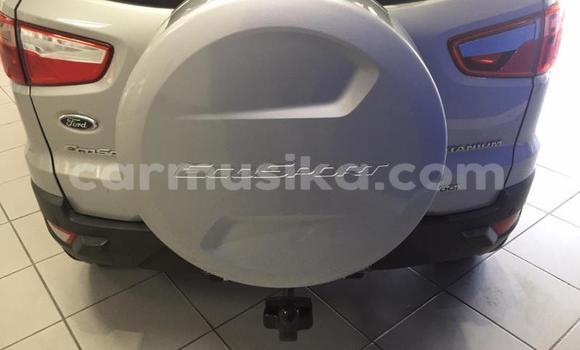 Tenga Tsaru Ford EcoSport Sirivha Mota in Beitbridge in Matabeleland South Tenga Tsaru Ford EcoSport Sirivha Mota in Beitbridge in Matabeleland South