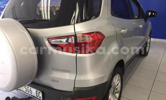 Tenga Tsaru Ford EcoSport Sirivha Mota in Beitbridge in Matabeleland South Tenga Tsaru Ford EcoSport Sirivha Mota in Beitbridge in Matabeleland South