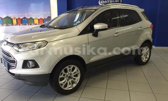 Tenga Tsaru Ford EcoSport Sirivha Mota in Beitbridge in Matabeleland South Tenga Tsaru Ford EcoSport Sirivha Mota in Beitbridge in Matabeleland South