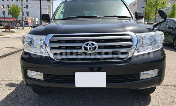 Acheter Occasion Voiture Toyota Land Cruiser Noir à Beitbridge, Matabeleland South