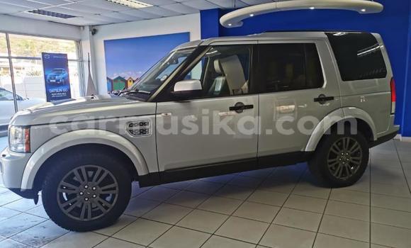 Acheter Occasion Voiture Land Rover Discovery Gris à Beitbridge, Matabeleland South Acheter Occasion Voiture Land Rover Discovery Gris à Beitbridge, Matabeleland South