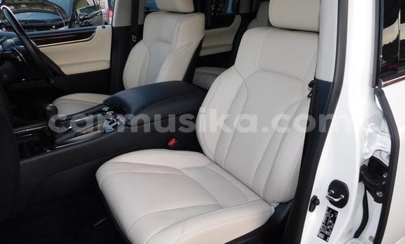 Acheter Occasion Voiture Lexus LX 570 Blanc à Beitbridge, Matabeleland South Acheter Occasion Voiture Lexus LX 570 Blanc à Beitbridge, Matabeleland South