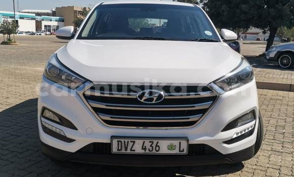 Buy Used Hyundai Tucson White Car in Beitbridge in Matabeleland South Buy Used Hyundai Tucson White Car in Beitbridge in Matabeleland South