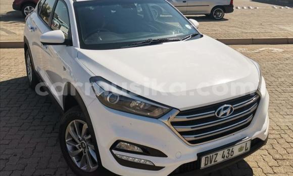 Buy Used Hyundai Tucson White Car in Beitbridge in Matabeleland South Buy Used Hyundai Tucson White Car in Beitbridge in Matabeleland South